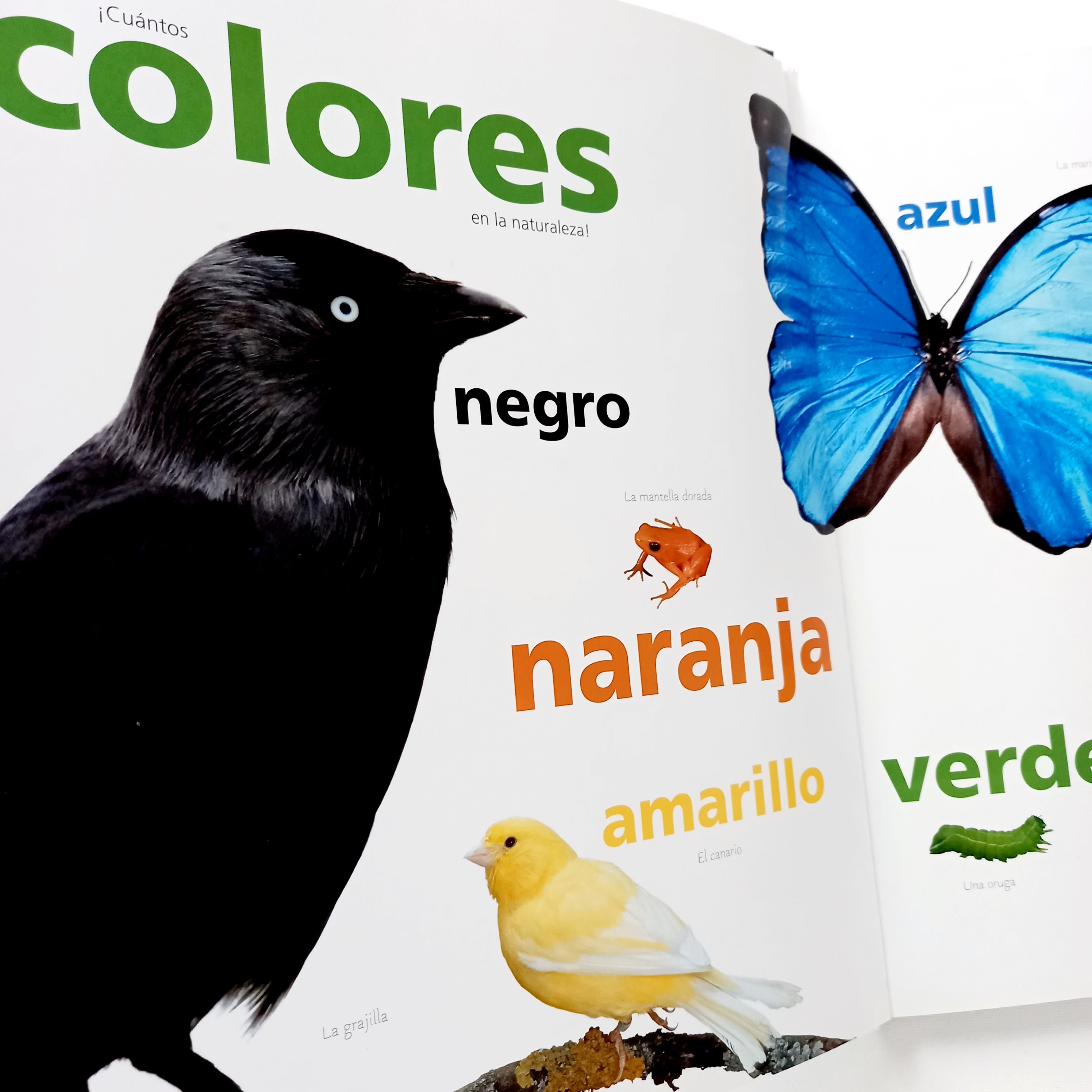 A todo color A todo color